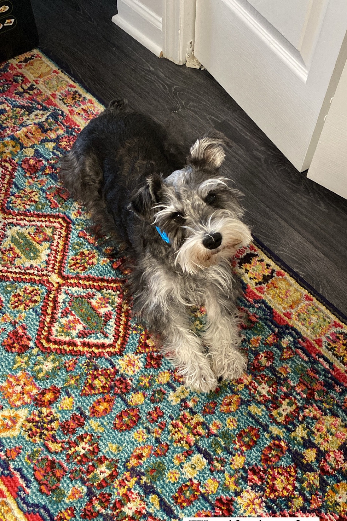 Linking to my new entry runner! 

#LTKhome