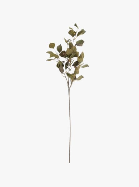 The Refined Dwelling Cork Textured Silver Dollar Eucalyptus Stem | Amazon (US)