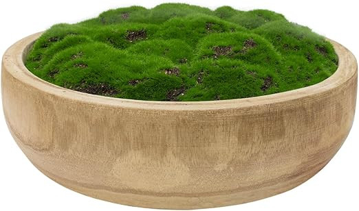 NAHARO Moss Wood Bowl, Natural Round Decorative Dough Bowl, Artificial Moss Centerpiece for Weddi... | Amazon (US)