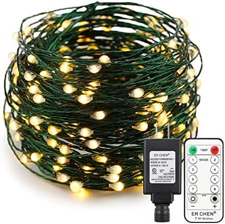 ER CHEN 66ft Led String Lights,200 Led Starry Lights on 20M Green Copper Wire String Lights Power Ad | Amazon (CA)