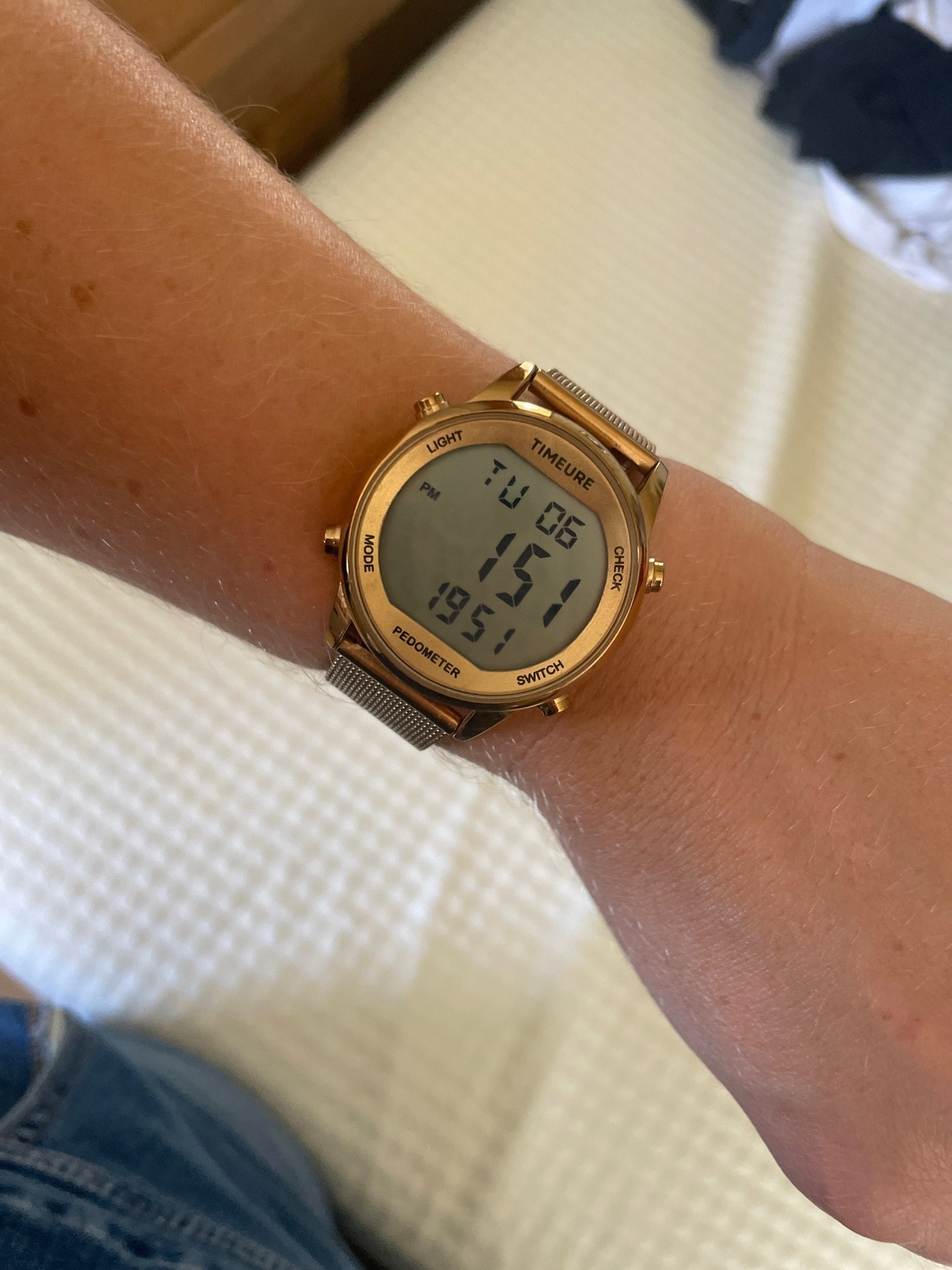 Pedometer watch