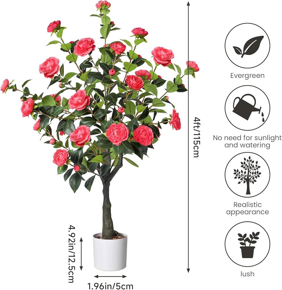 FREE Returns | Amazon (US)