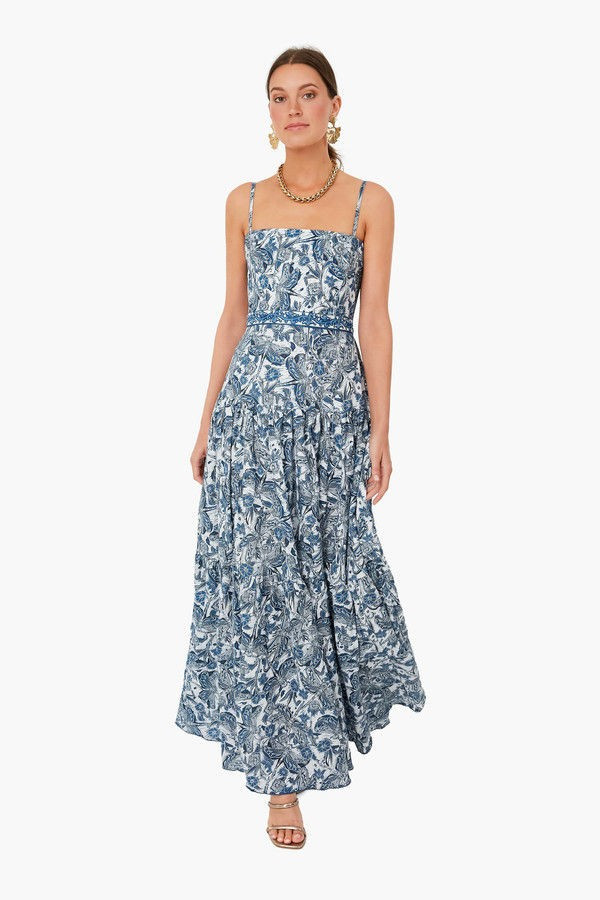 Libelulas Noche Lima Maxi Dress | Tuckernuck (US)