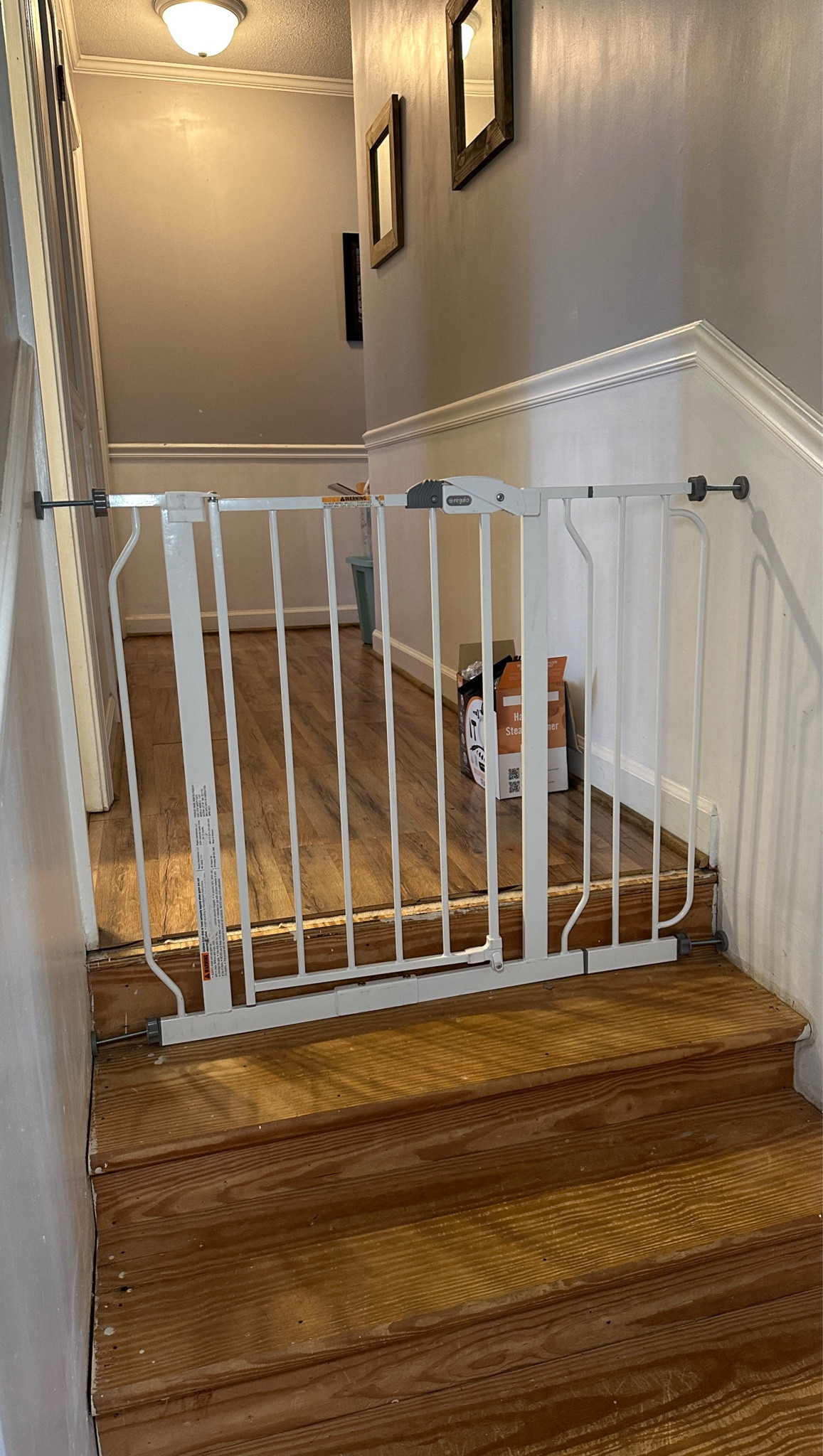 Necessity for pets and kids!! 



#LTKBaby #LTKFindsUnder50 #LTKKids