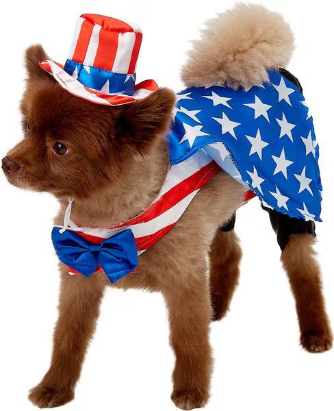 Rubie's Costume Company Uncle Sam Dog Costume | Chewy.com
