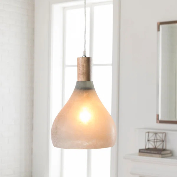 Bodden 1 - Light Single Teardrop Pendant | Wayfair Professional