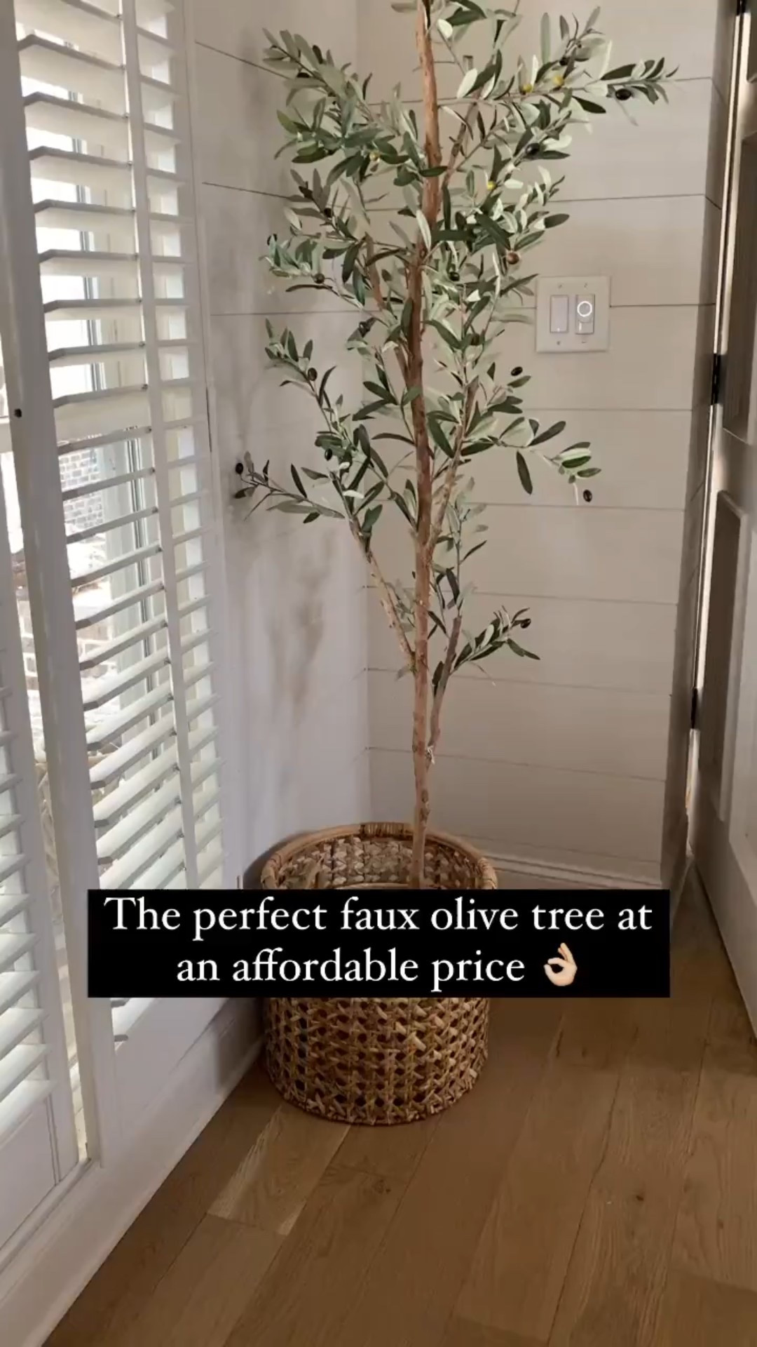 Faux olive tree, olive tree, modern classic decor, home decor, faux tree
#visionboard #moodboard #porcheandco

#LTKHome #LTKStyleTip