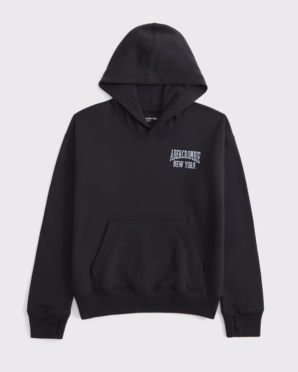 logo popover hoodie | Abercrombie & Fitch (US)