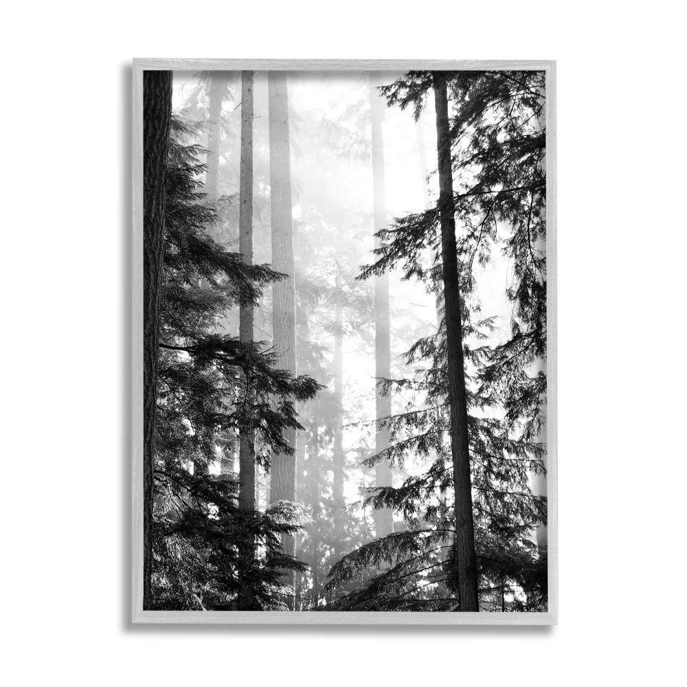 The Stupell Home Decor Collection Forest Light Shining Trees Landscape Photography By Gail Peck Fram | The Home Depot