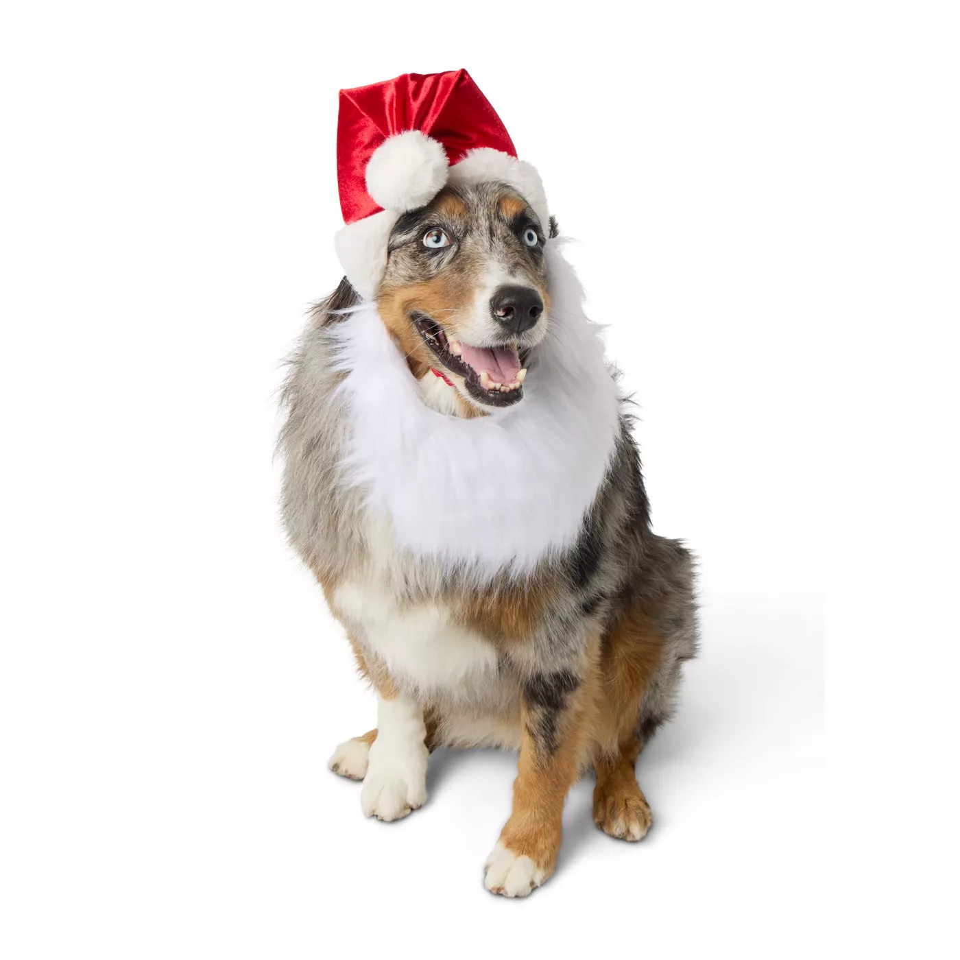 Merry & Bright&trade; Santa Hat & Beard Holiday Headpiece, Dog & Cat | PetSmart