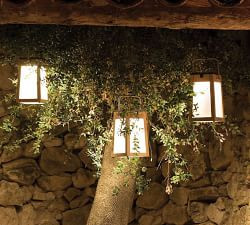 Nellie Solar Outdoor Lantern | Pottery Barn (US)