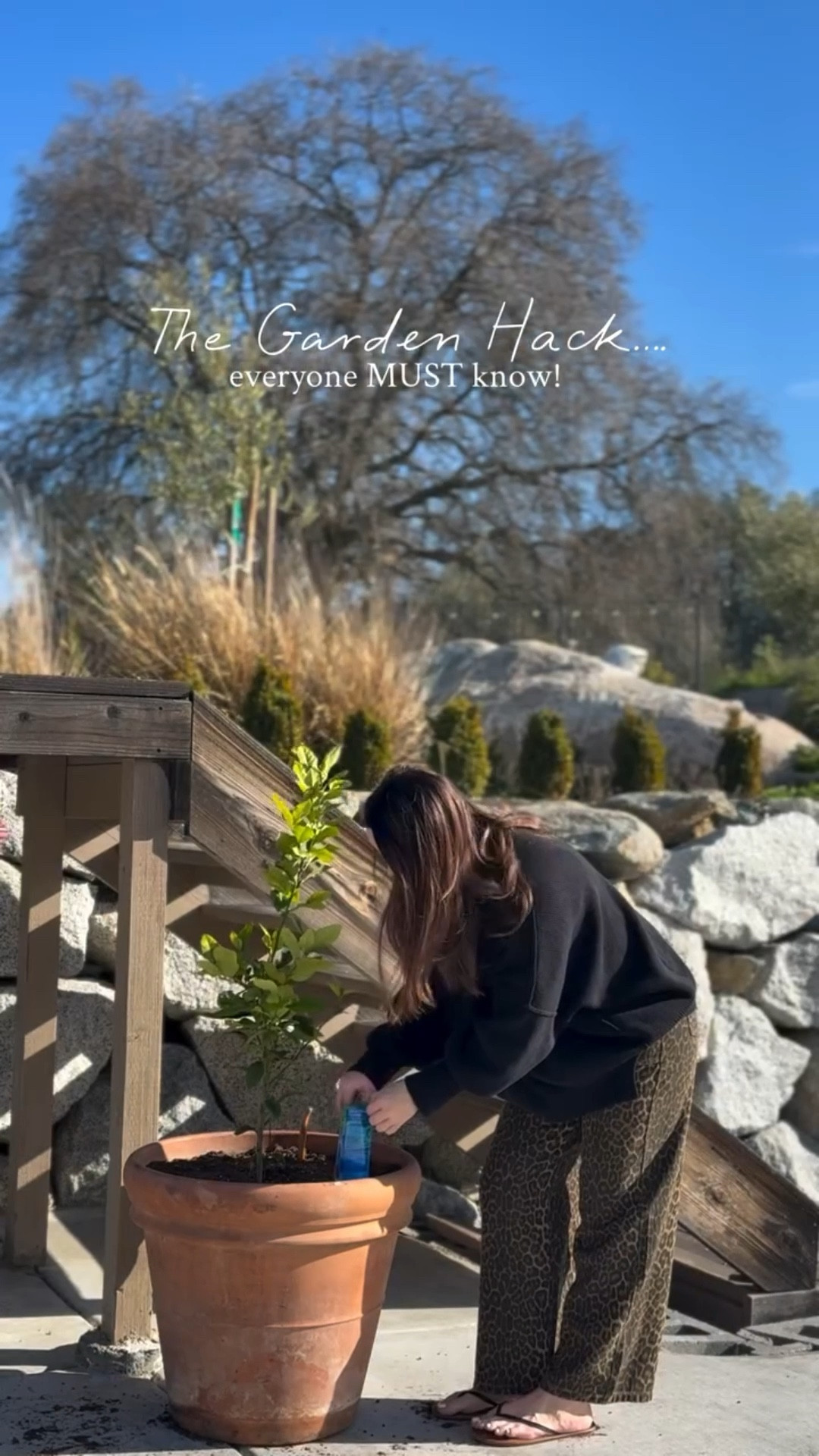 From Pinterest board to real life garden moment! 👩🏻‍🌾🪏🪴

Comment SHOP and I’ll send you the links! 

I feel like these little babies are going to be GAME CHANGER this summer! It gets so hot here so to think these beads will hold in moister and continue to water the plants (even when I forget too!) my mind is blown! I should have shown them to you when I left them in water over night they were massive!  I spent all weekend adding them to all different kind of plants in the landscape, so hoping this year everything takes off!

BRB back to gardening because this weather in California is way too nice right now! 🪏🪴🫜👩🏻‍🌾