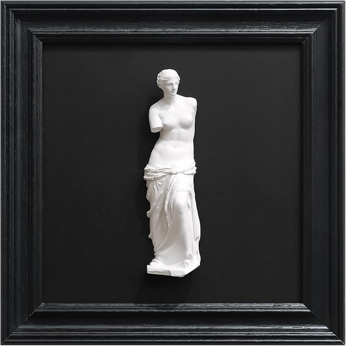FOLKOR LIFE Framed Black and White Wall Art Sculpture for Home Vintage Decor, Greek Venus Wall De... | Amazon (US)