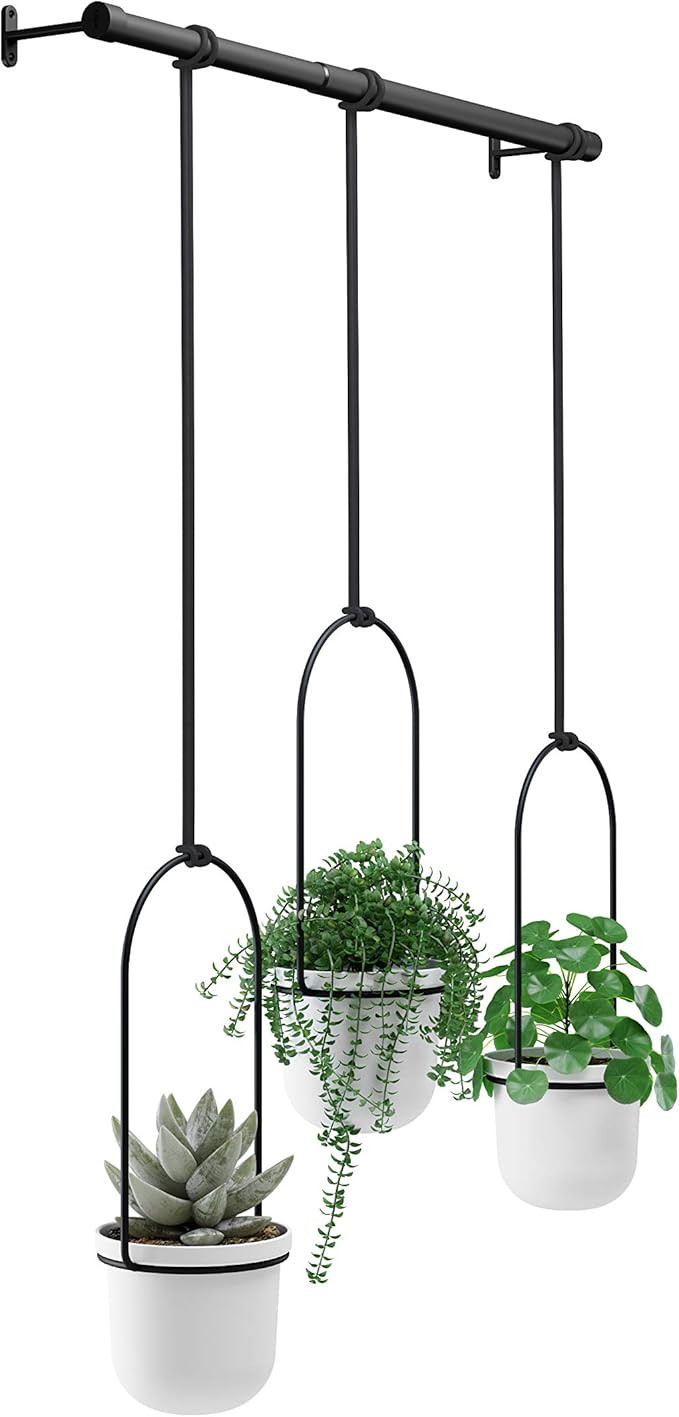 Umbra Triflora Hanging Planter for Window, Indoor Herb Garden, White/Black, Triple | Amazon (US)