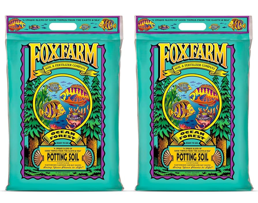 FoxFarm Ocean Forest Potting Soil, 12qt – Light, Aerated Texture, Designed for All Container Pl... | Amazon (US)