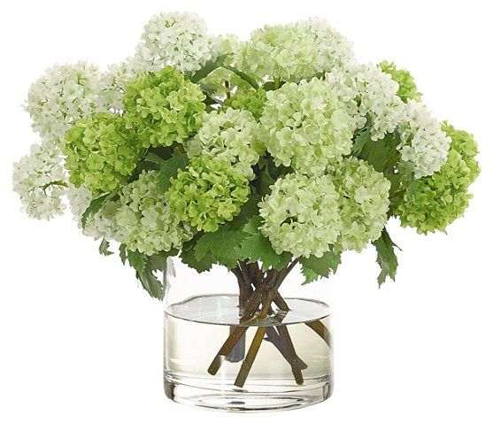 16" Snowball in Cylinder Vase, Faux | One Kings Lane