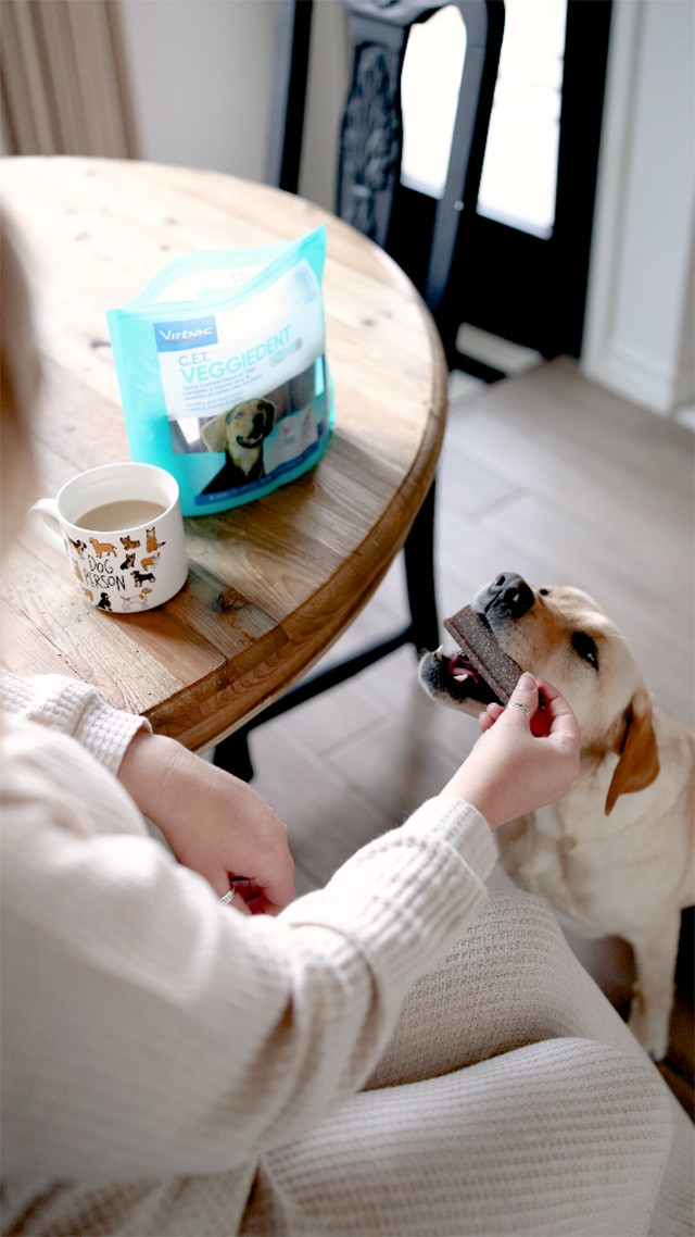 You love your dog, but do you love their breath? 😬 If the answer is no, it’s time to upgrade their dental routine!

One easy way to support your pup’s oral health is with Virbac’s C.E.T. VEGGIEDENT FR3SH Tartar Control Chews for Dogs!

✔️ Reduces plaque & tartar
✔️ Freshens breath with every chew
✔️ Supports digestion with a prebiotic

#LTKFindsUnder50 #LTKPets
