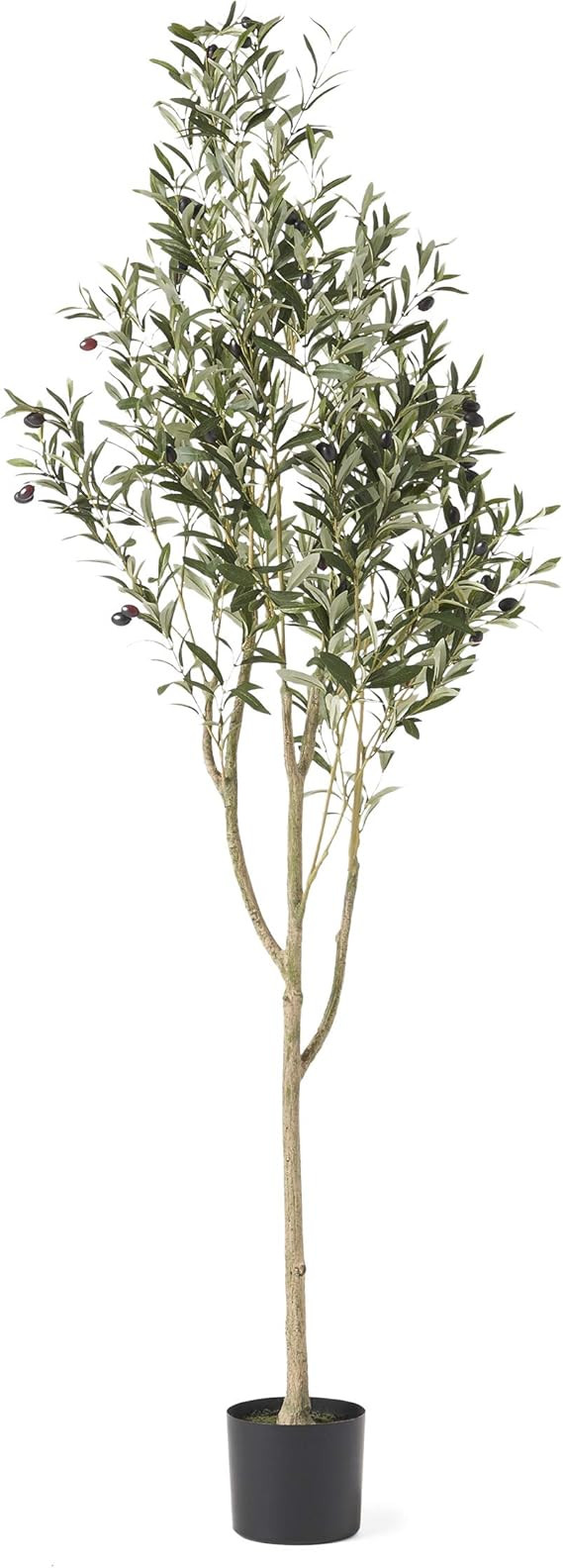 Christopher Knight Home 313747 Artificial Plants, 6' x 2', Green | Amazon (US)