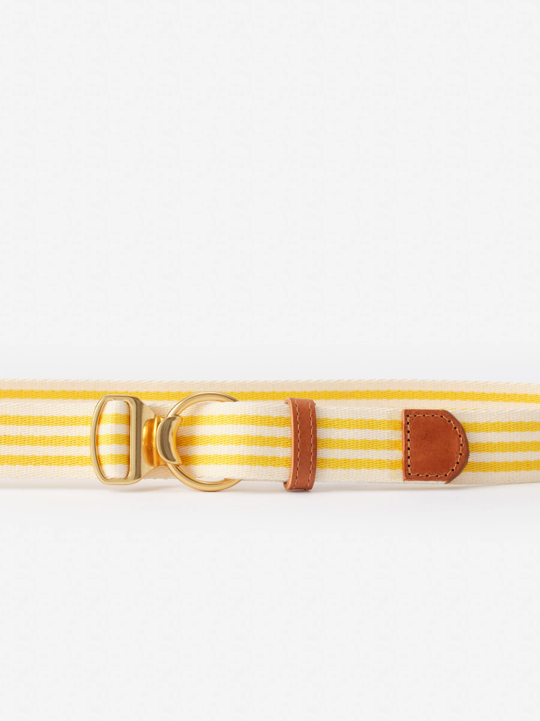 Saffron Stripe Mini Isobel Canvas Belt | Women's Belts | J.McLaughlin | J.McLaughlin