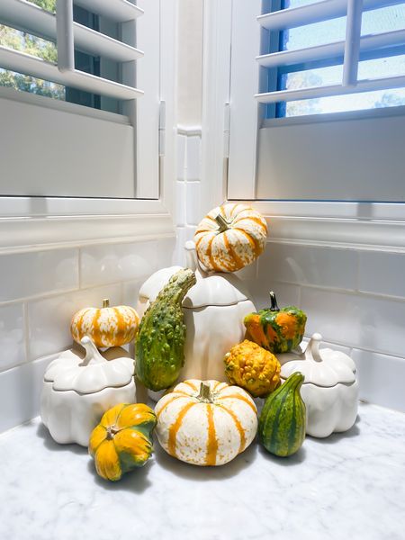 Fall decor 
Pumpkins
Home decor
Fall display
Affordable decorations 

#LTKhome #LTKSeasonal #LTKunder50