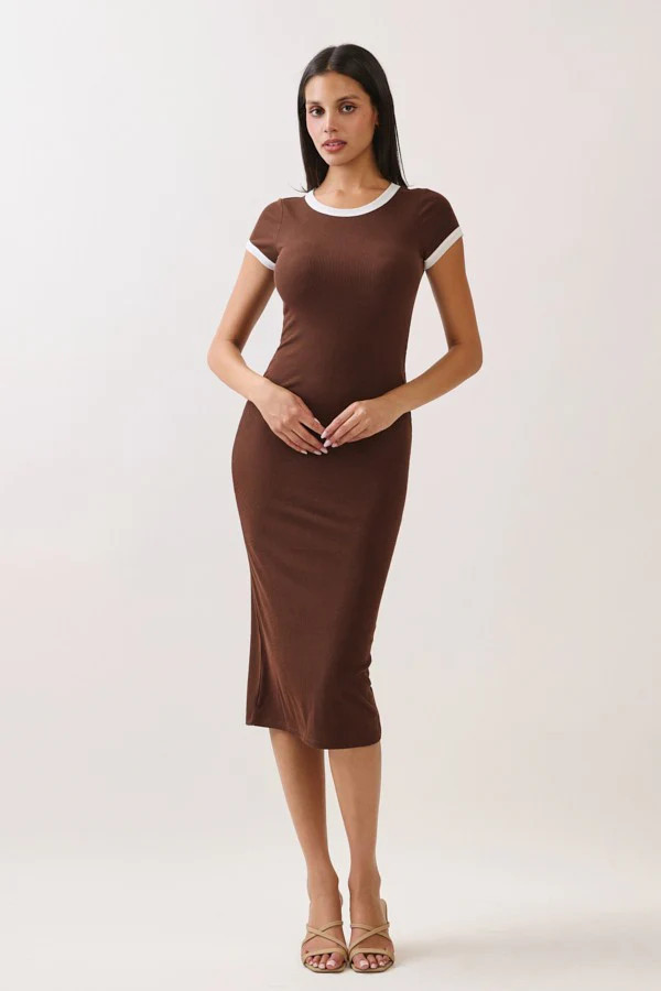 Brown Colorblock Trim Midi Dress - Medium | PinkBlush Maternity