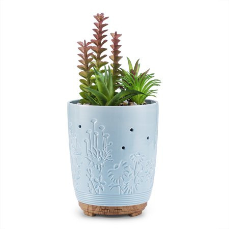 Essential Oil Diffuser with 4 Oils & 7 Color LED Lights Artificial Succulent Plants Potted Blue Cera | Walmart (US)