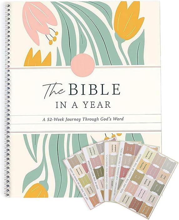 The Study the Bible for 1 year: A 52-Week Bible Study Guide for Women, A Beautiful Year in the Bi... | Amazon (US)