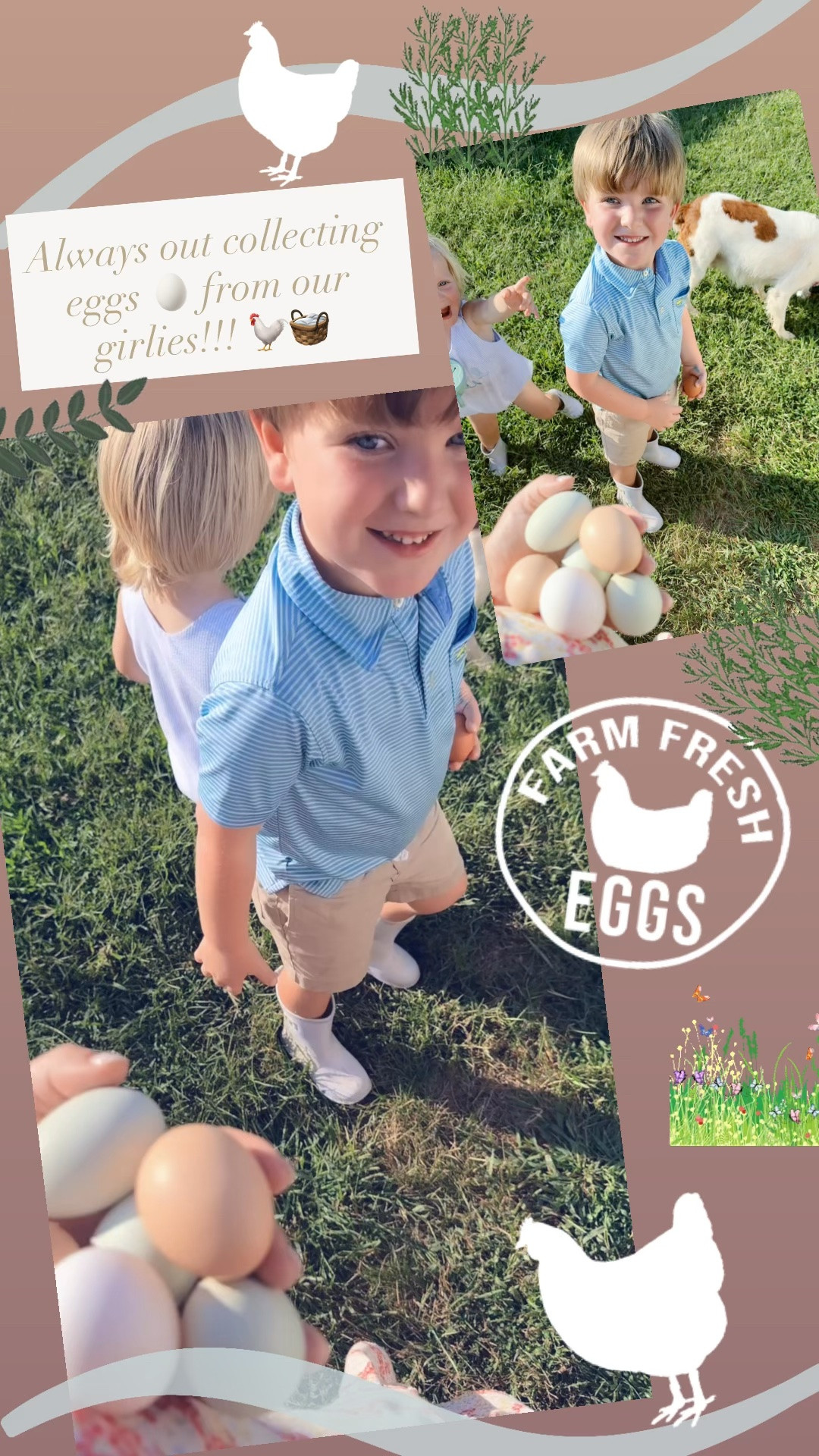Always out collecting eggs 🥚 from our girlies!!! 🐓🧺