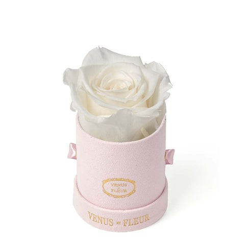 Le Mini™ Round | Venus ET Fleur