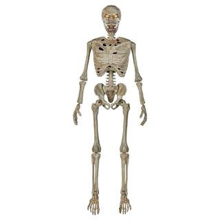 5 ft. LED Pose-N-Stay Skeleton | The Home Depot