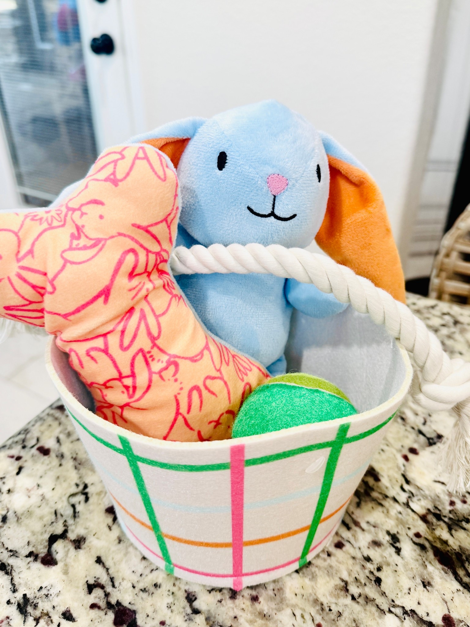 Cute little premade Easter baskets for dogs!

#LTKmomlife #LTKSeasonal