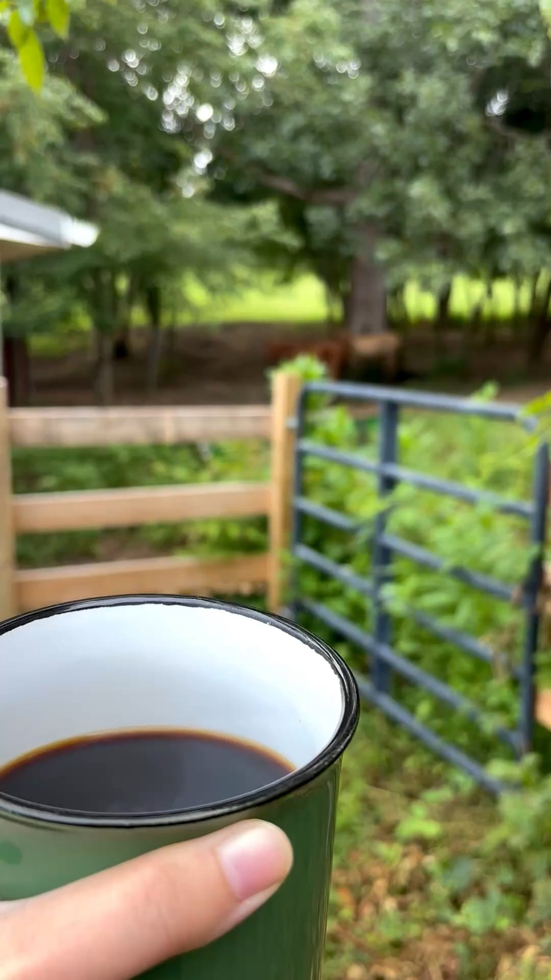Coffee and a view! We have mugs from everywhere we travel which is so fun and cozy! At first I wanted cute mugs that were all the same but having a different mug every morning and remembering fun spots we’ve been is one of my favorite things!

#LTKFamily #LTKautumn #LTKTravel
