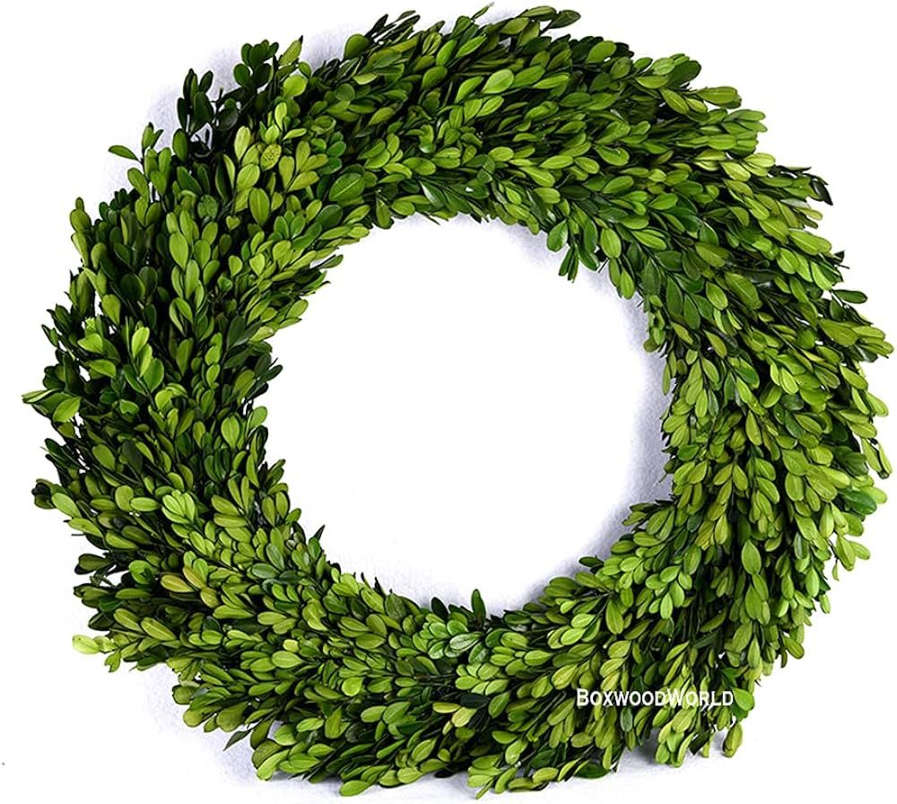 Boxwood Wreath Large 17 inch Preserved Nature Real Boxwood Wreath Home Decor Stay Fresh for Years... | Amazon (US)