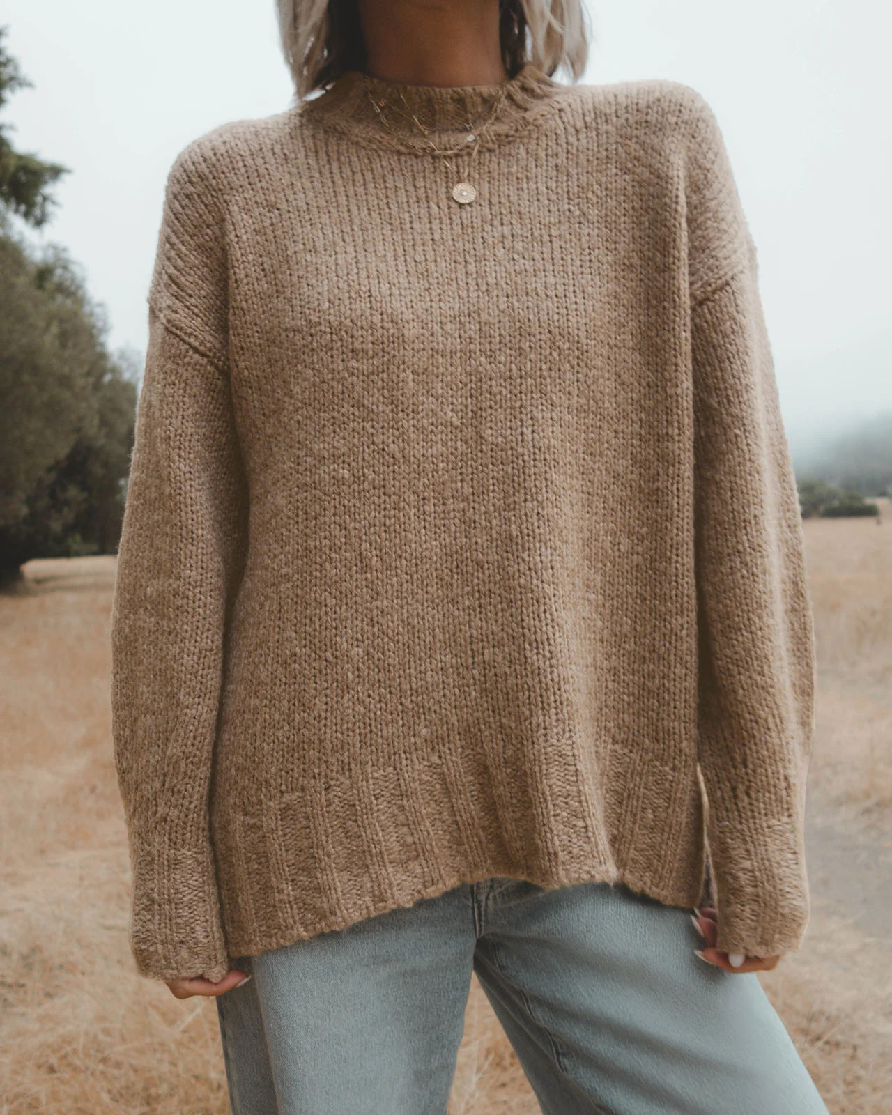 Splendid x @Cellajaneblog Cashblend Tunic Sweater | Splendid