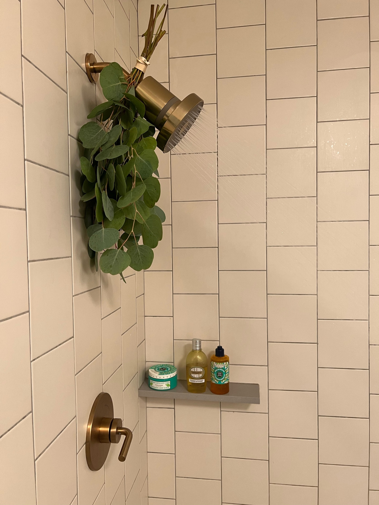 loving my new jolie filtered showerhead & these loccitane products are essentials for my shower routine 🚿🫧

#LTKhome