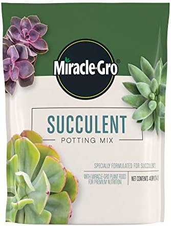 Miracle-Gro Succulent Potting Mix - Potting Soil Mix for Indoor Succulents, Aloe Vera and More, M... | Amazon (US)