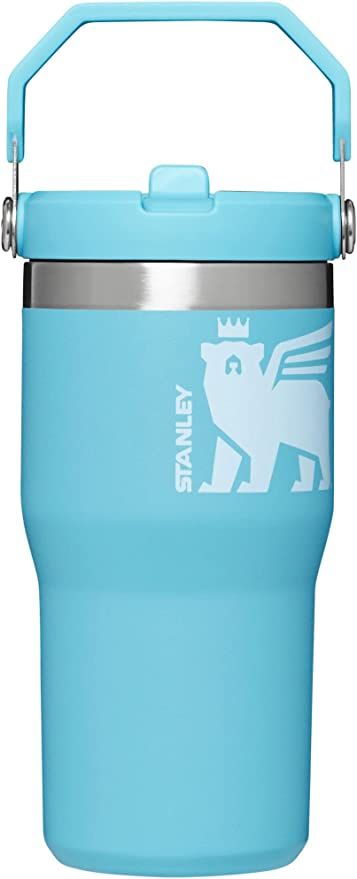 Stanley Classic IceFlow Flip Straw Tumbler for Kids (8 or Above), 20oz, Stan the Bear Stainless S... | Amazon (US)