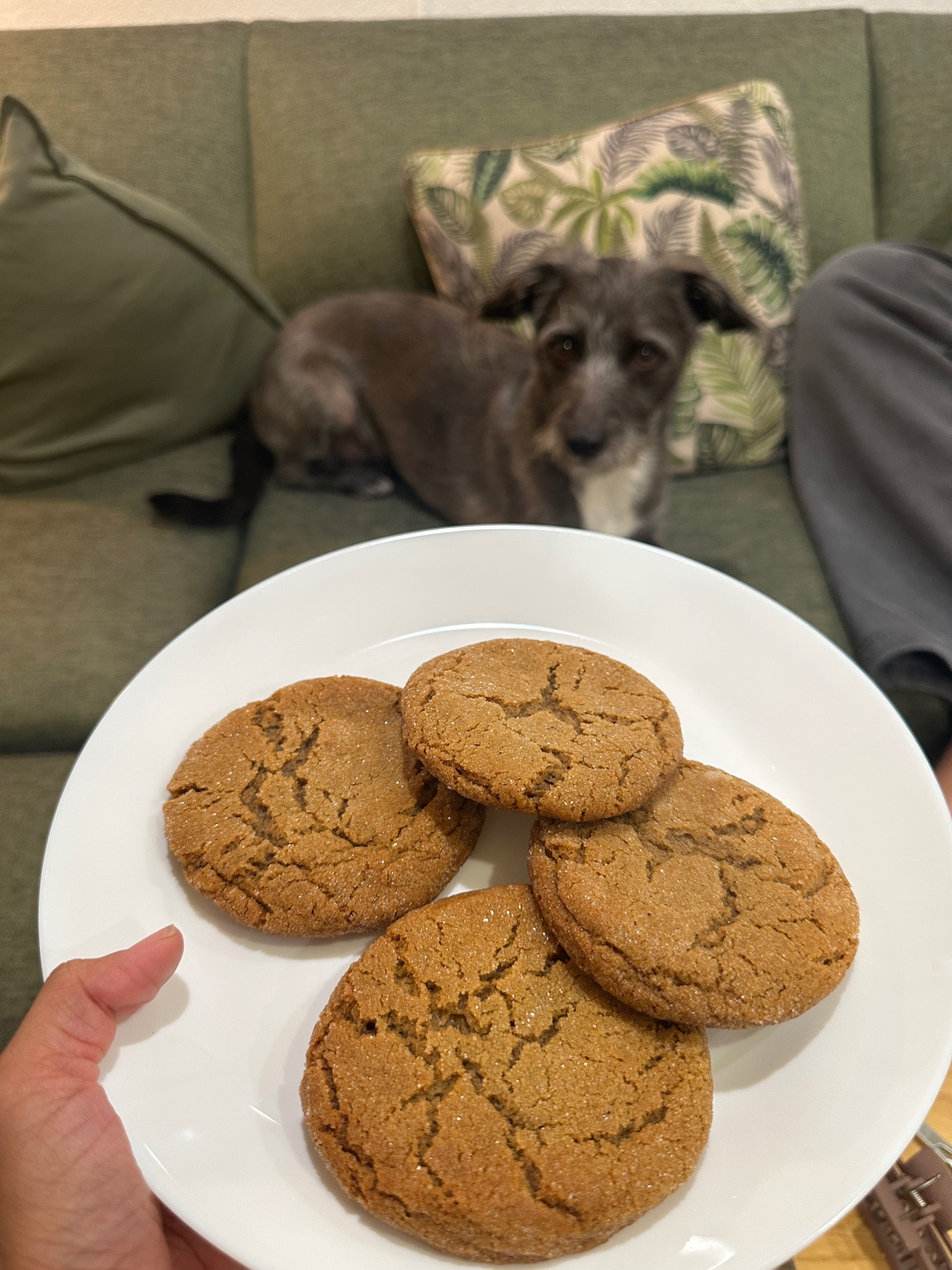 Simple plates!

#LTKHoliday #LTKCyberWeek #LTKGiftGuide