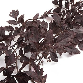 Fall Decor - Fall Decorations for Home - 6 Ft Plum Cimicifuga Seeded Garland - Artificial Leaf Ga... | Amazon (CA)