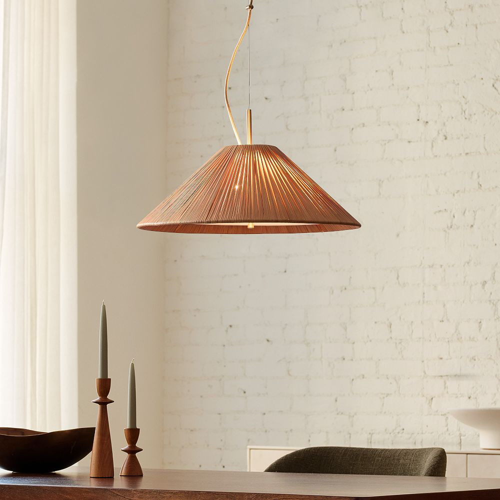 Clyde Pendant (21") | West Elm (US)