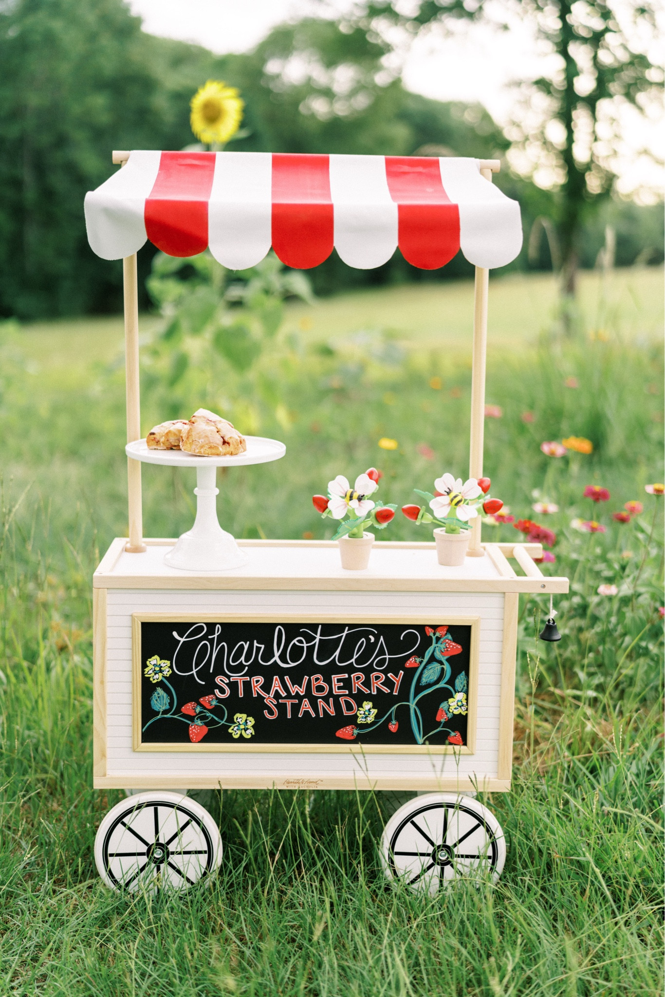 This precious cart will always be a personal favorite, and it’s back in stock for a limited time! Run! 

I replaced the precious black and white awning with a red and white one for our theme, found these cutie strawberry flower pots and wrote on the front with chalk markers. Sorry I can’t link the @buttercuphouston strawberry scones! 

Hurry and grab this cart before it’s gone! The perfect lemonade stand for summer!  



#LTKBaby #LTKKids #LTKParties