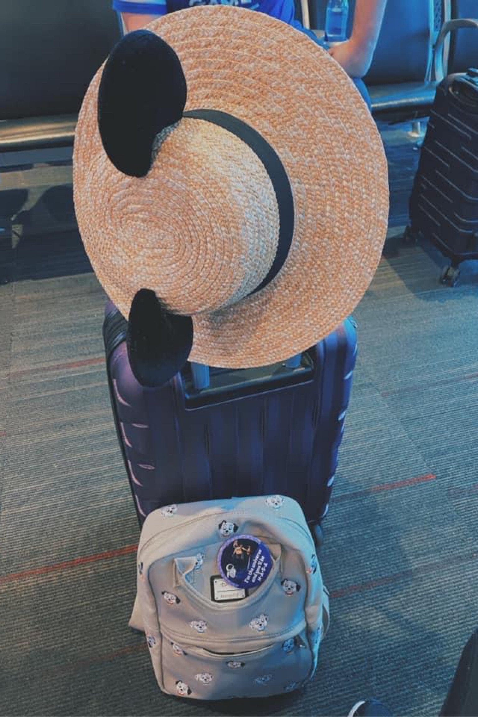 Disney travel essentials 
Carry on suitcase
Disney loungefly backpack
Disney Minnie ears hat

#LTKtravel #LTKstyletip #LTKfamily