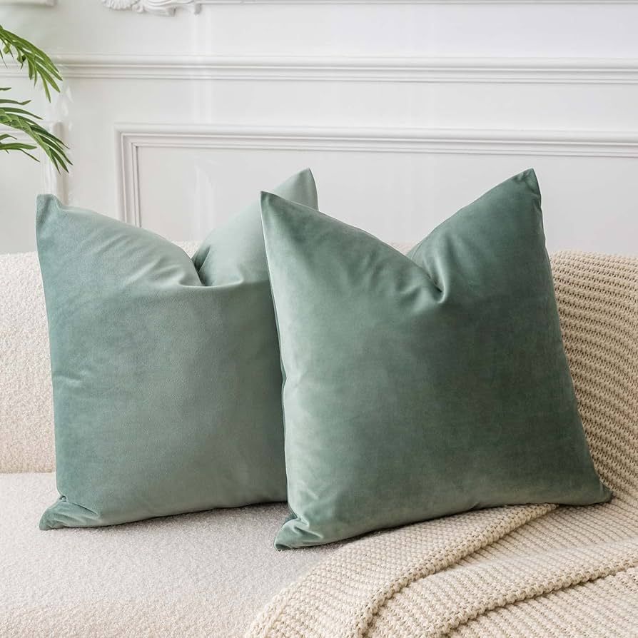 JUSPURBET Sage Soft Velvet Throw Pillow Covers 18x18 Set of 2,Decorative Solid Cushion Cases for ... | Amazon (US)