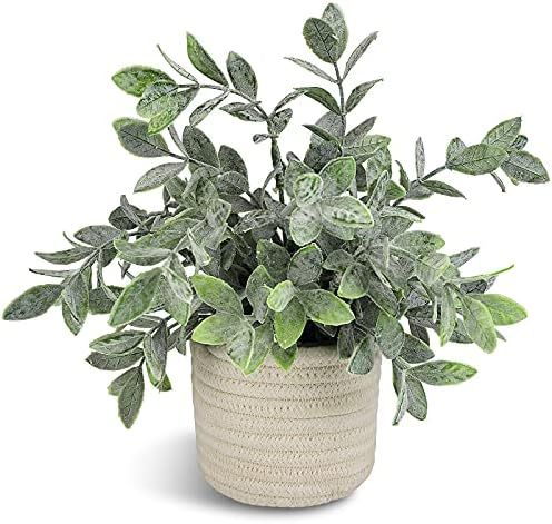 Hopewood Artificial Plants Indoor Small Fake Plant in Pots Decorative Planter for Home Bathroom F... | Amazon (US)