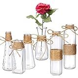 Habbi Glass Vases Set of 6, Clear Glass Flower Vase with Rope Design for Home Decration | Amazon (US)