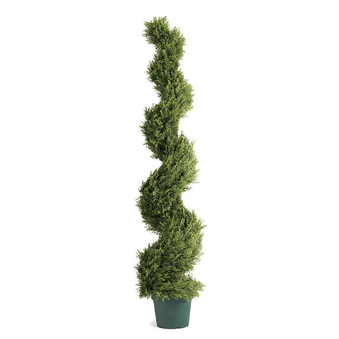 Cypress Spiral Topiary | Frontgate
