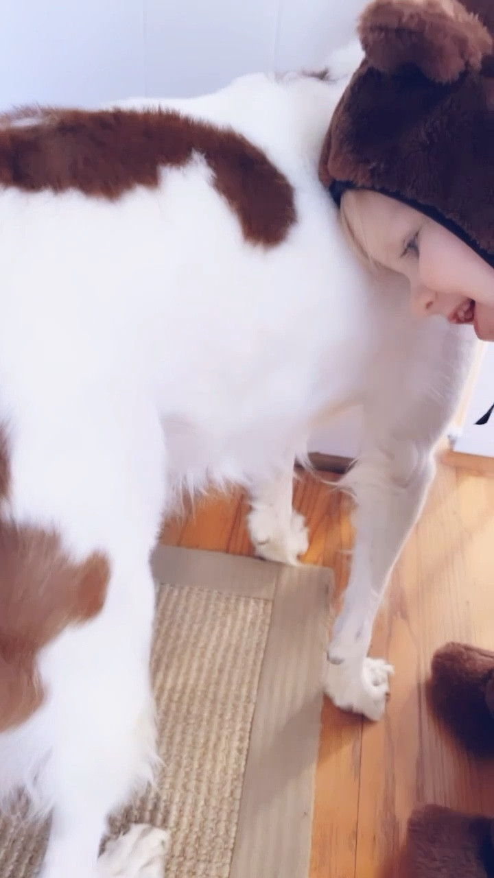 and goodness gracious… little bear hugging his puppy bestie 🥹🫶🏽 my heart can’t take it !! 🐶🤍
#judsonandred 🥰

#LTKfamily #LTKhome #LTKbaby