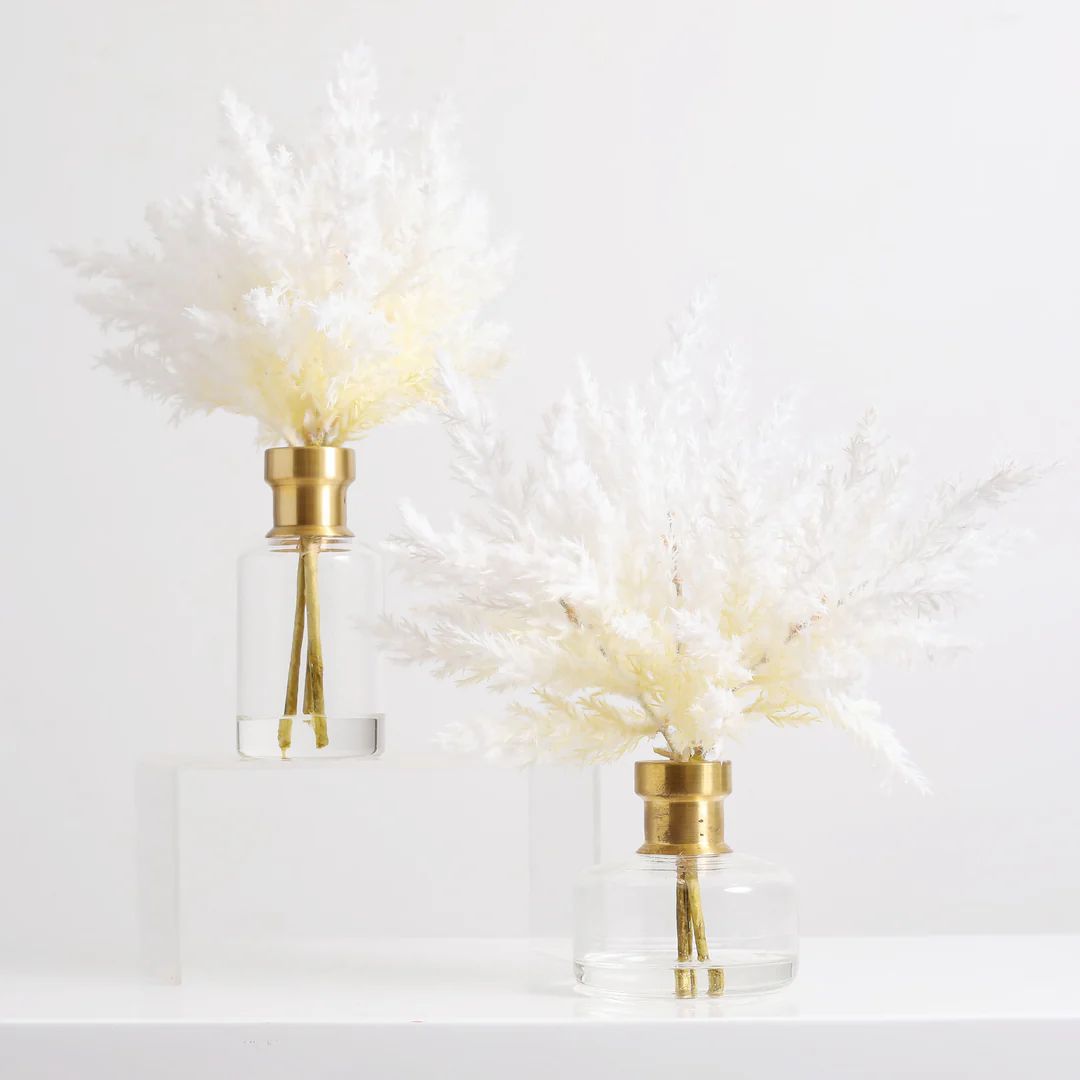 Bleached Pampas Grass Arrangement in Glass Bud Vase with Antiqued Gold Rim - 2 Size Options | Darby Creek Trading