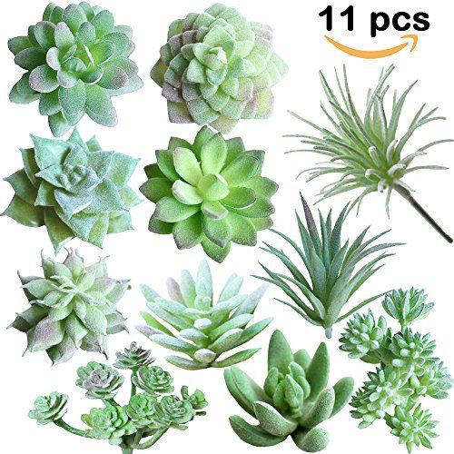 Supla 11 Pcs Mini Artificial Succulents Picks Unpotted Faux Succulent Assortment in Flocked Green in | Amazon (US)