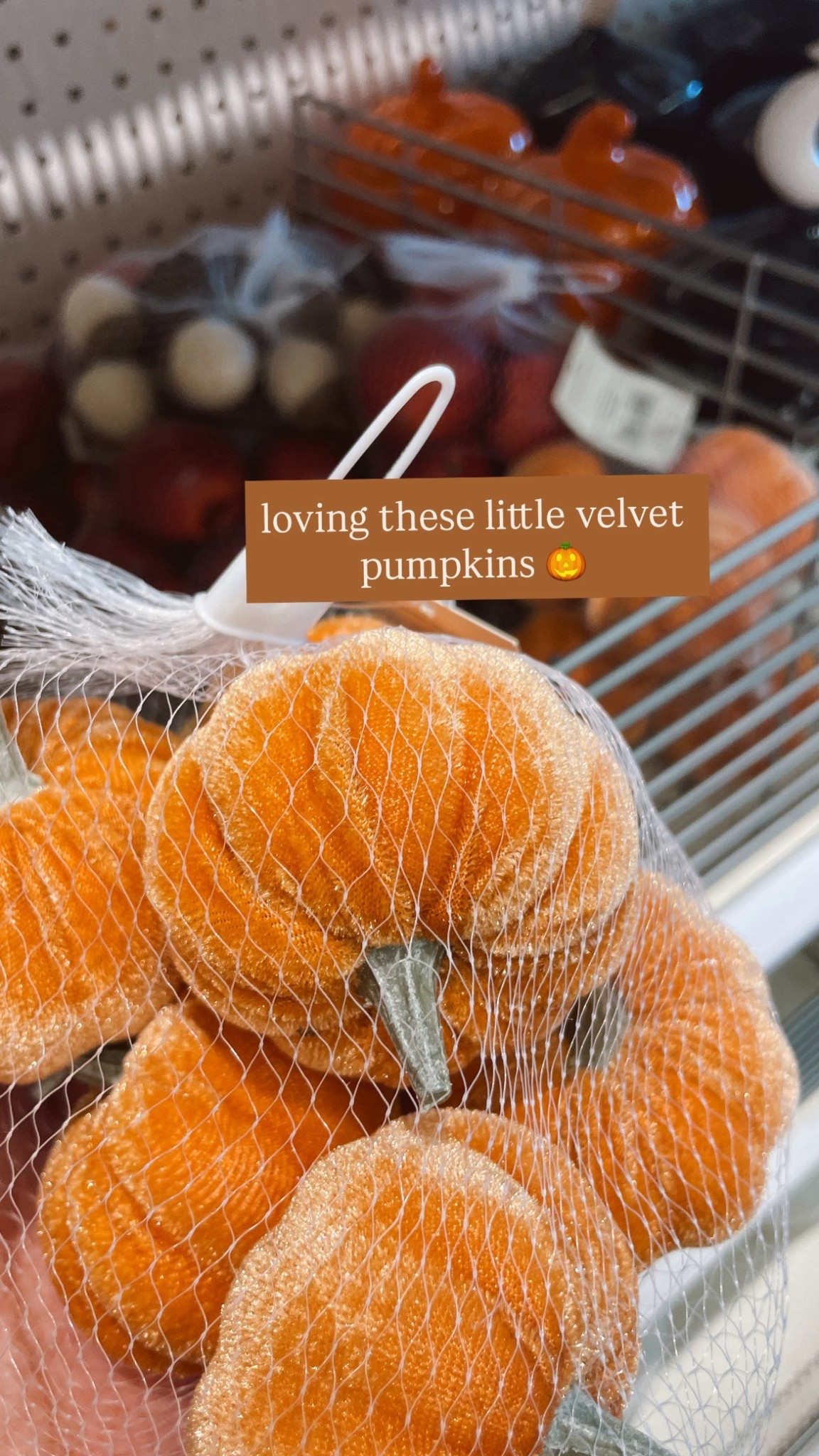 #LTKSaleAlert #LTKHome #LTKSeasonal